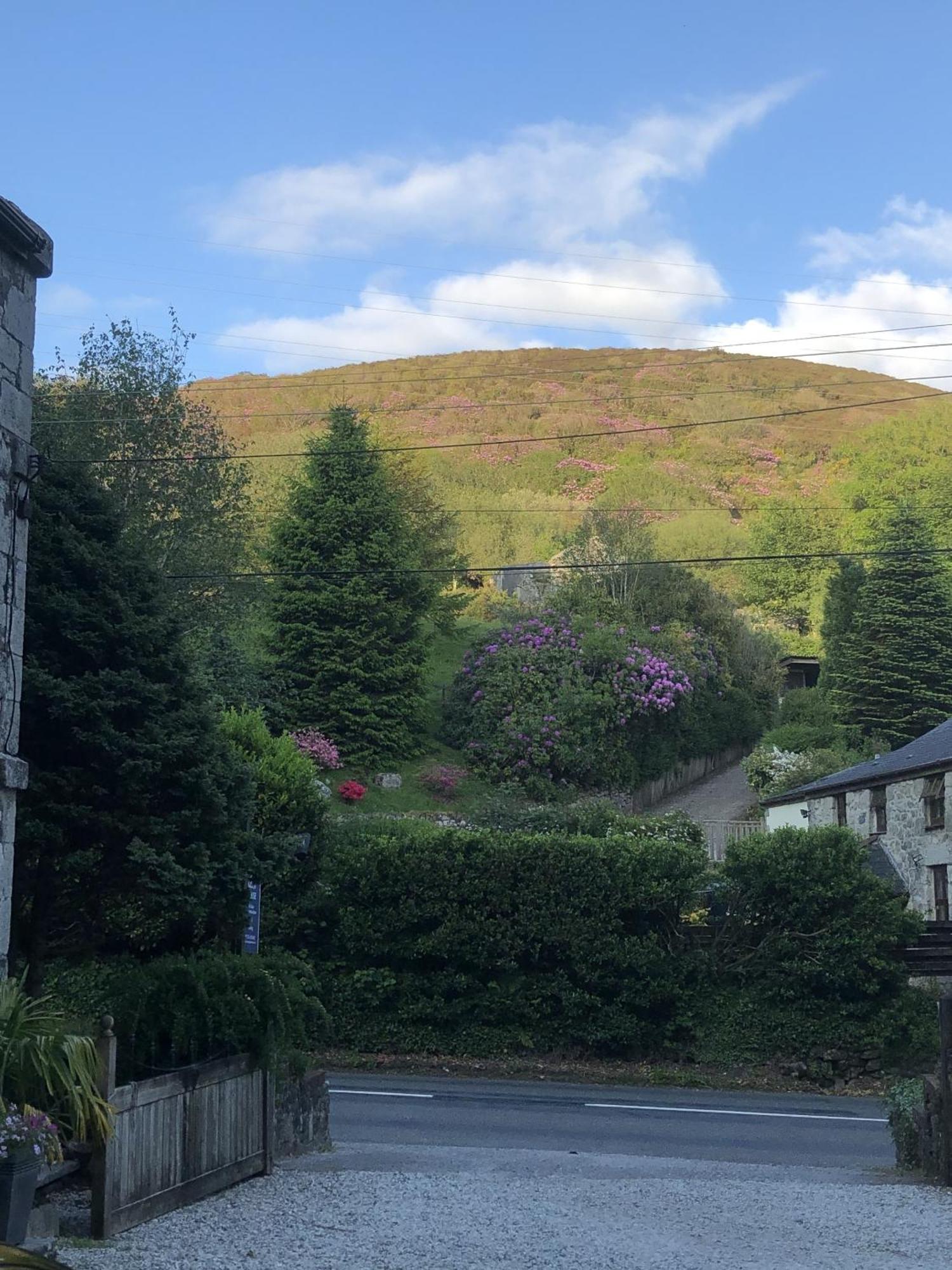 The Chapel Guest House St Austell Exterior foto
