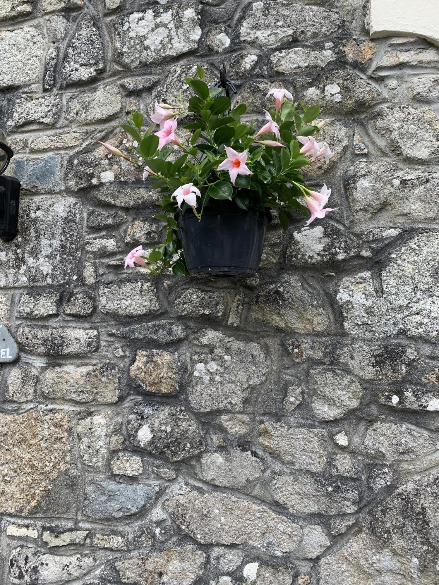 The Chapel Guest House St Austell Exterior foto